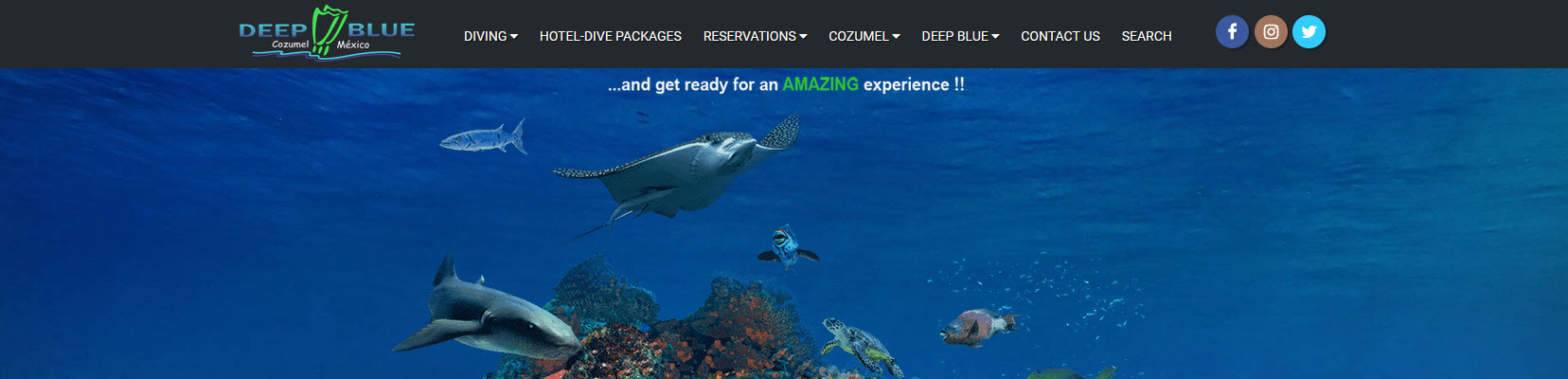 Deepblue Scuba Diving